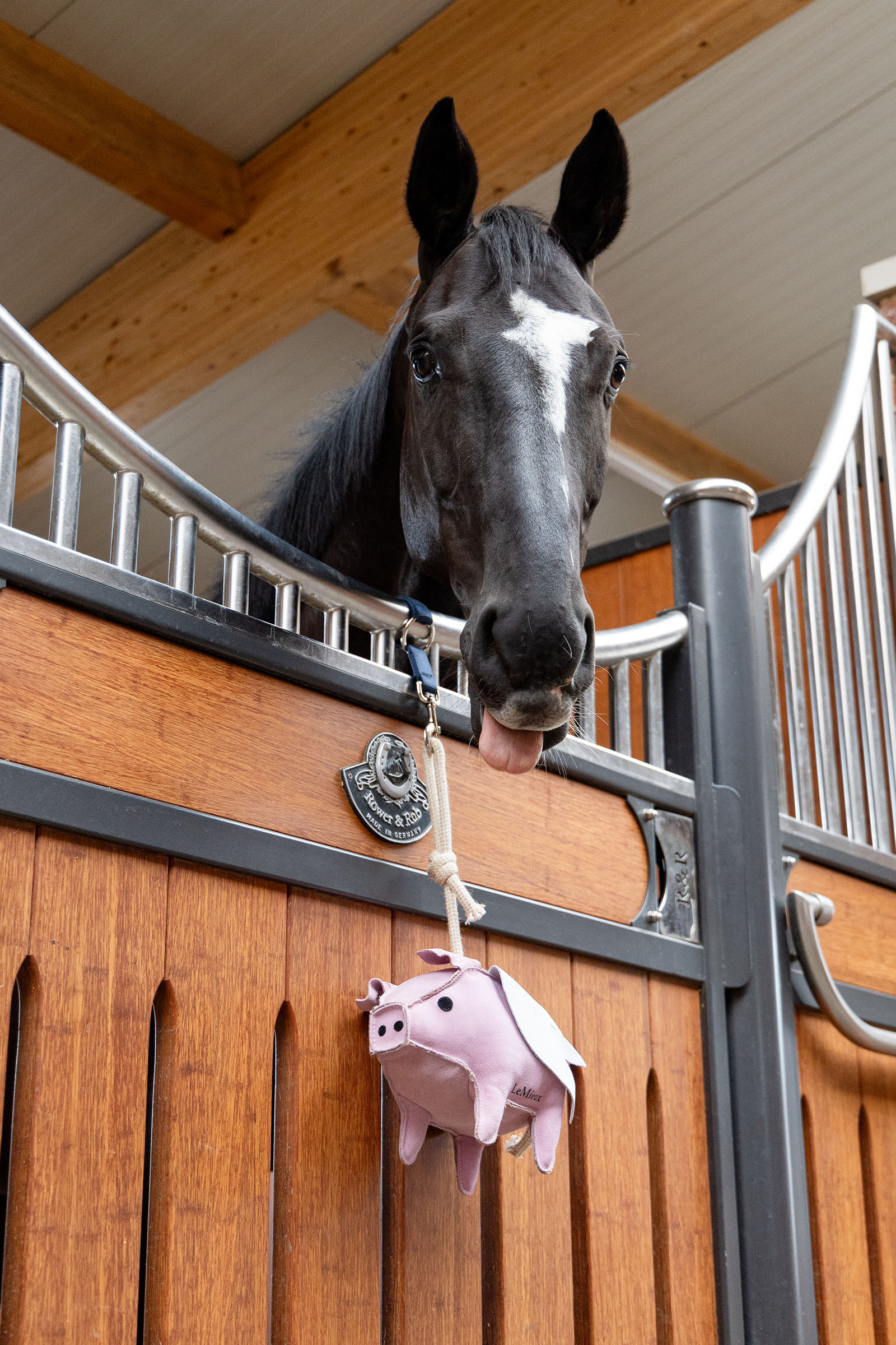 LeMieux paardenspeelgoed vliegend varkentje