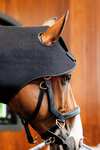 Horseware LED roodlichttherapie nekcap