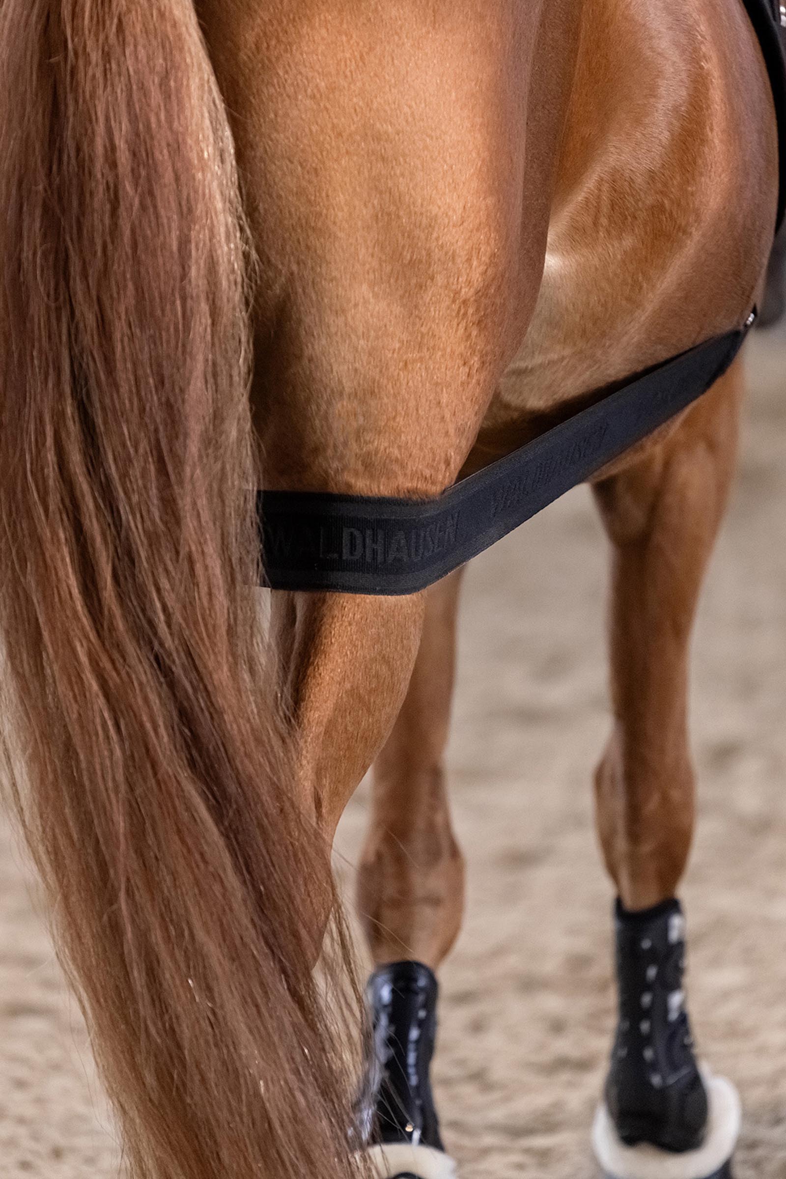 Waldhausen bodybandage voor activering van de achterhand