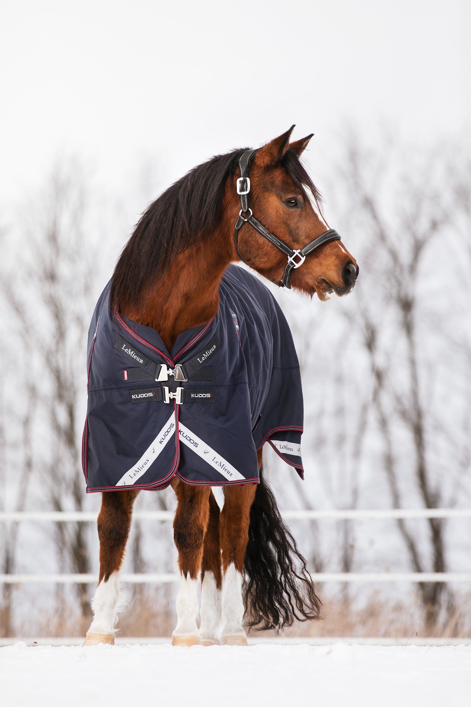 LeMieux Kudos regendeken, 200 g