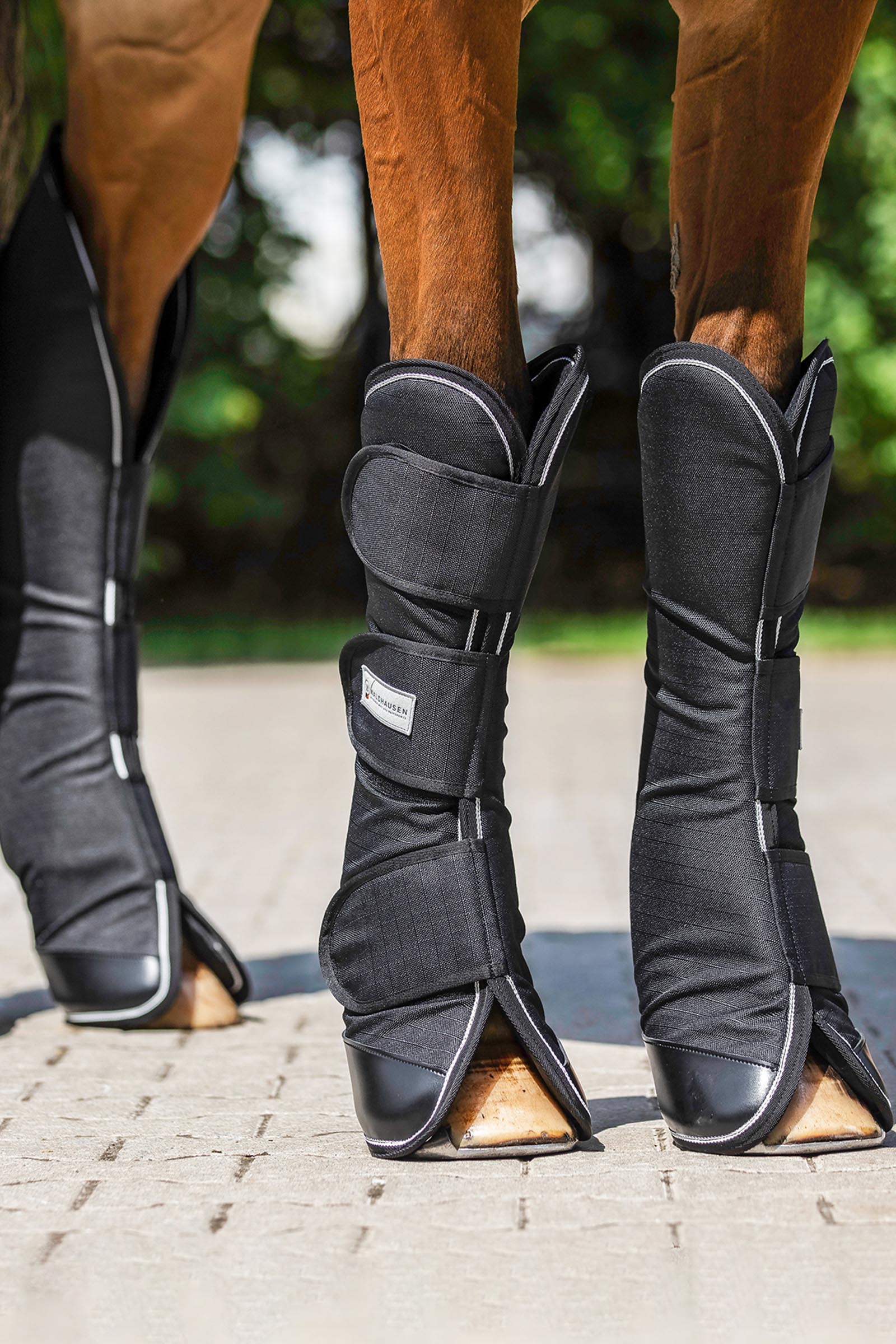 Waldhausen Comfort Line transportbeschermers (set van 4)