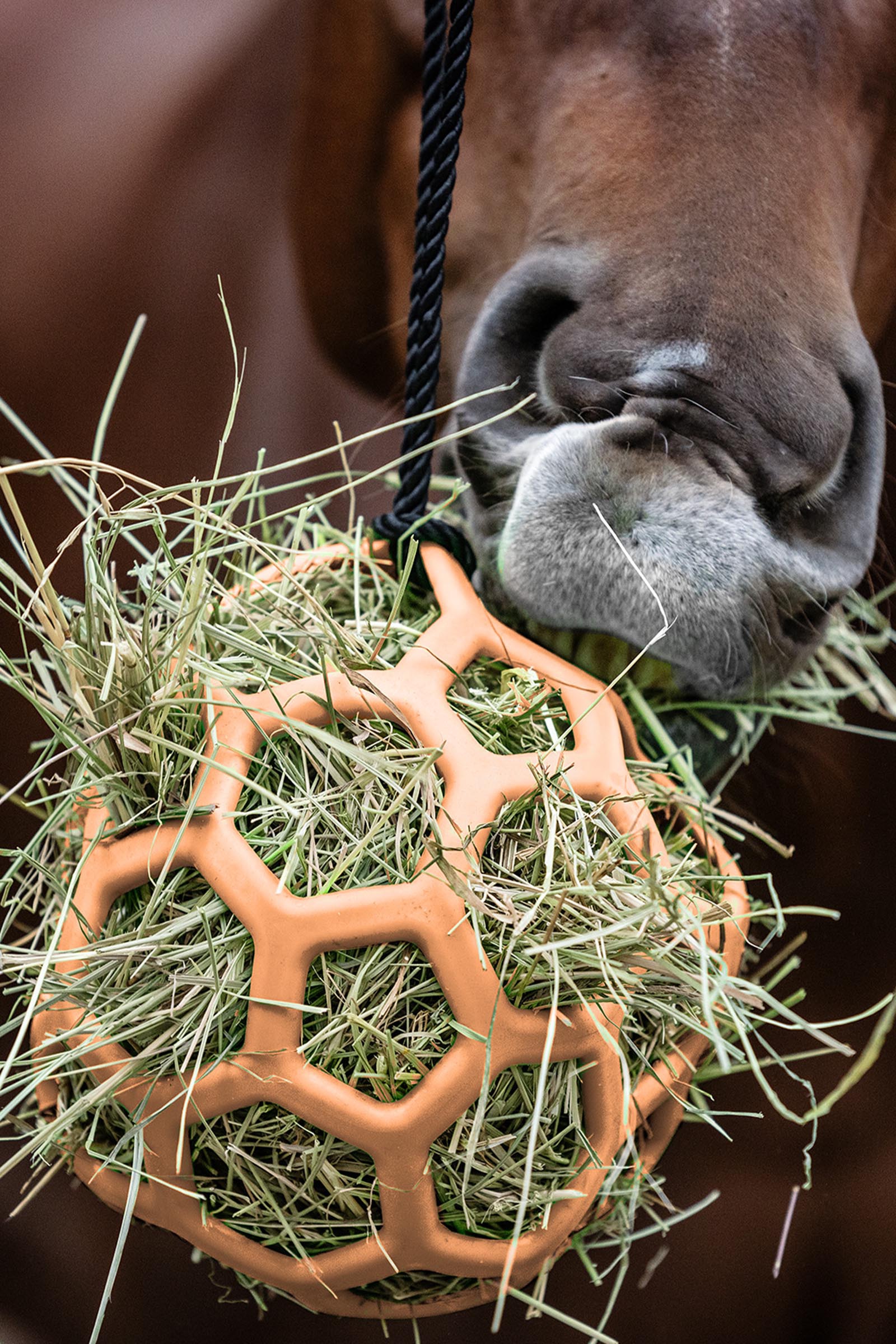 Peach Waldhausen hooibal