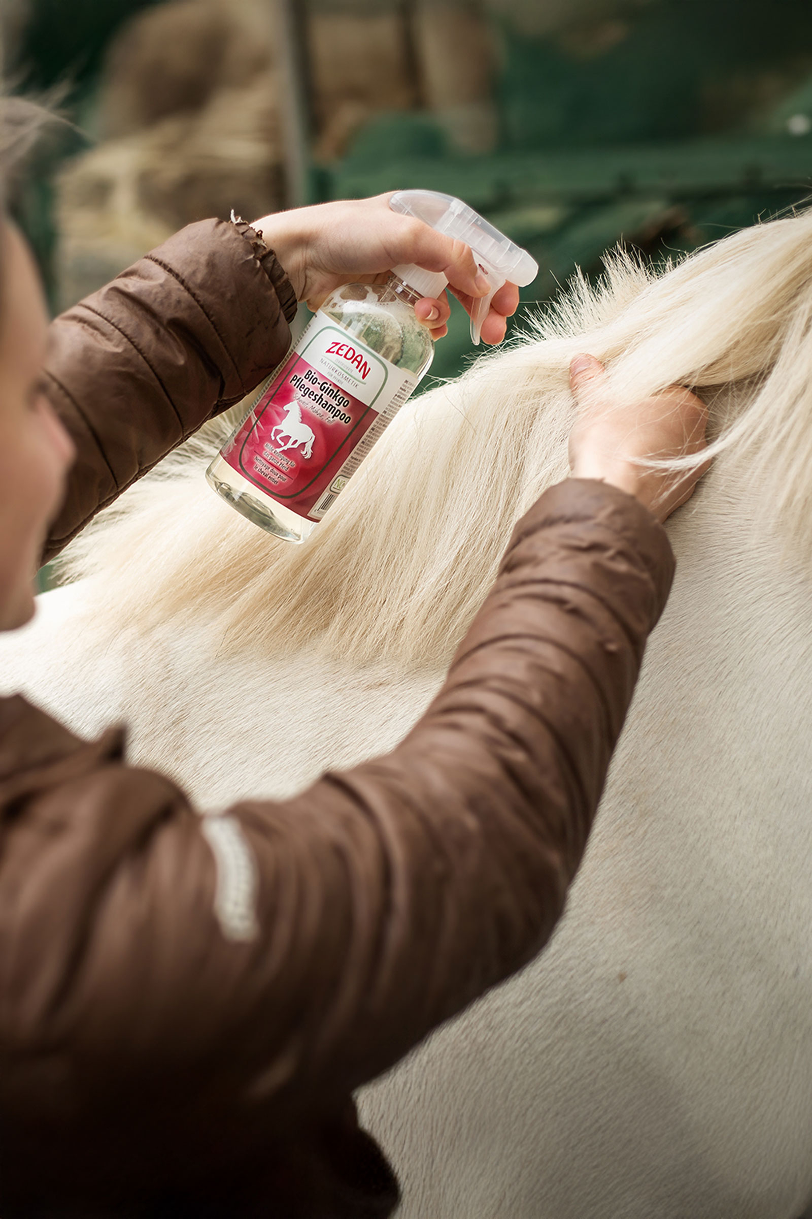 Zedan Bio-Ginkgo Verzorgingsshampoo, 500 ml