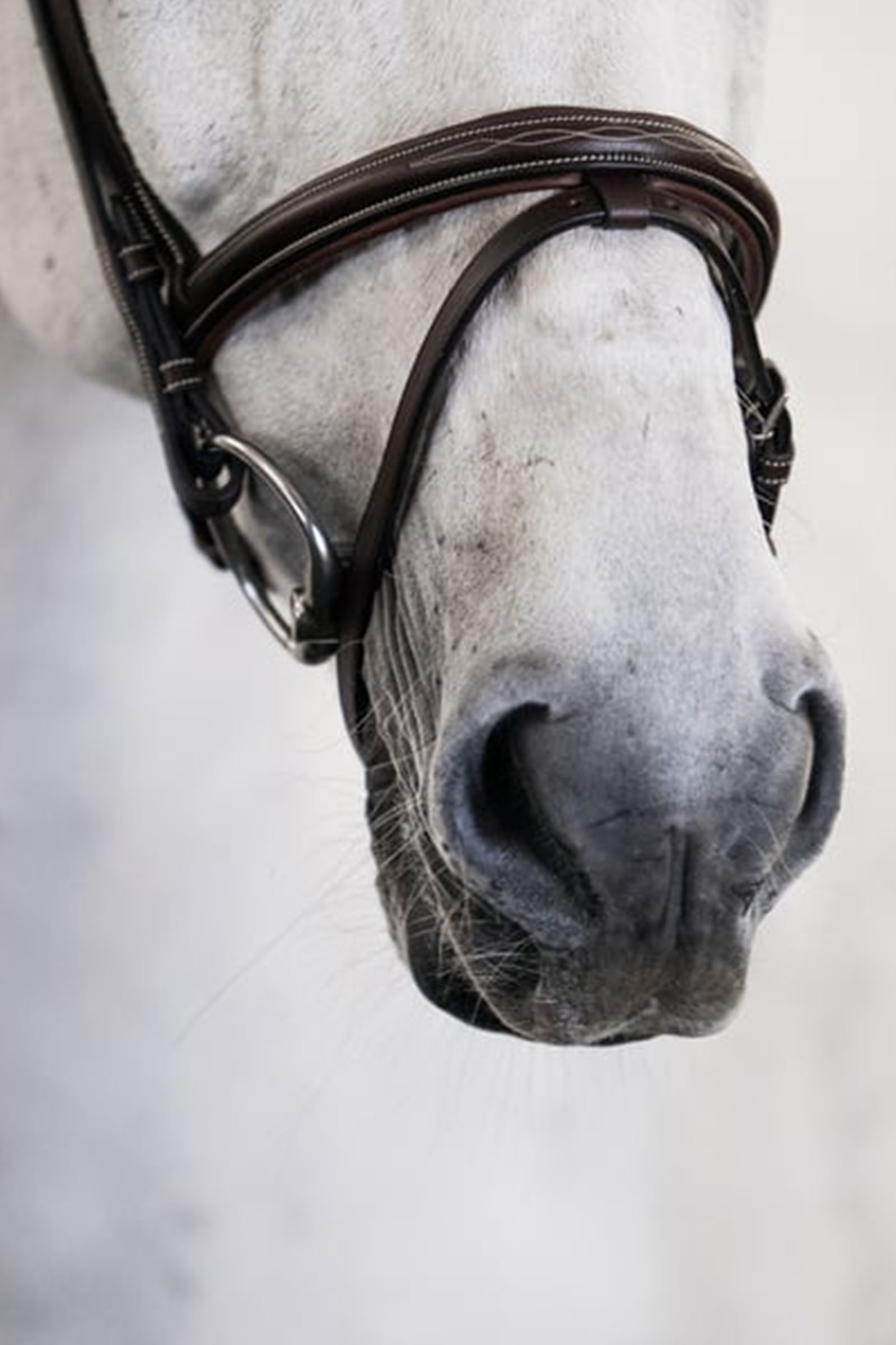 PS of Sweden Stockholm hoofdstel