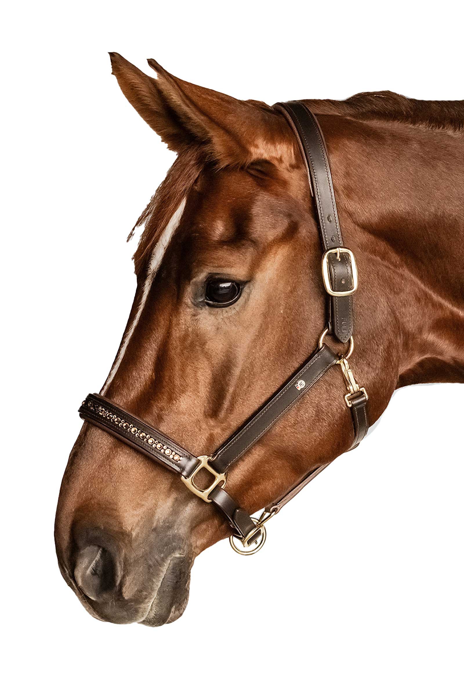 Waldhausen X-Line Crystal Lederen halster