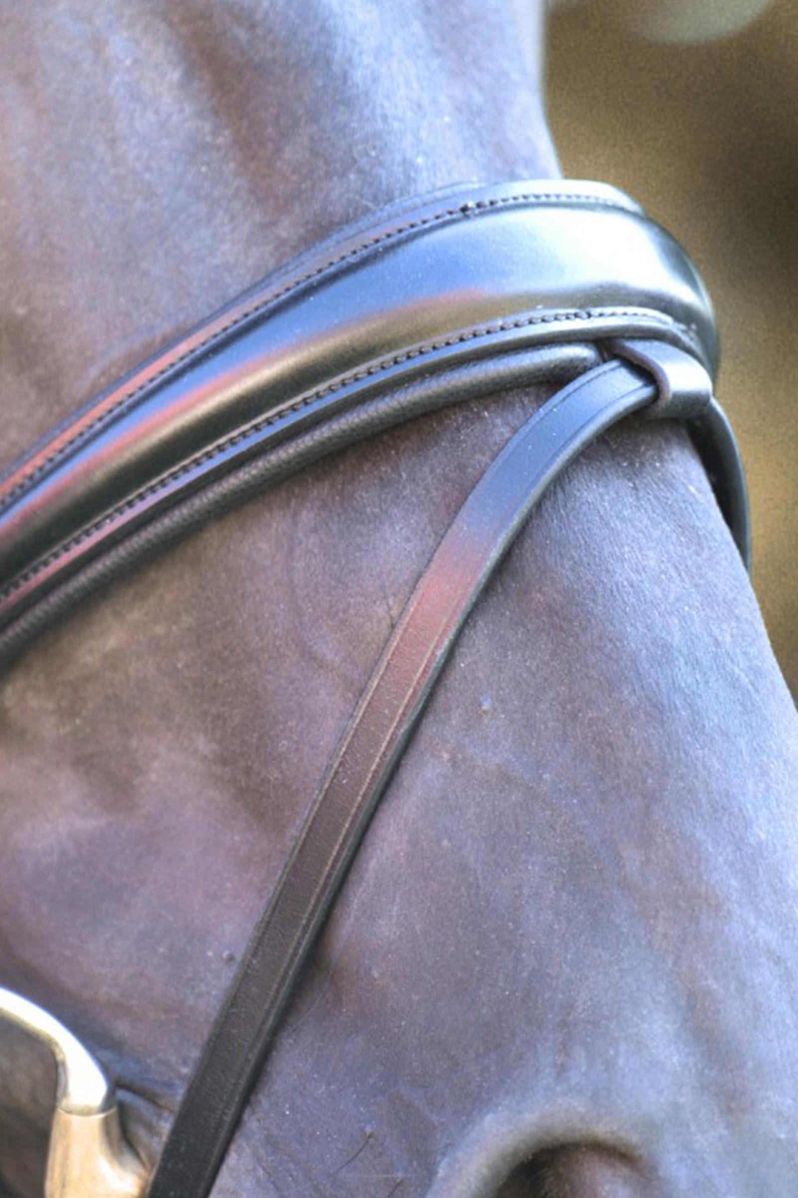 Kavalkade Florentine hoofdstel Zweeds gecombineerd