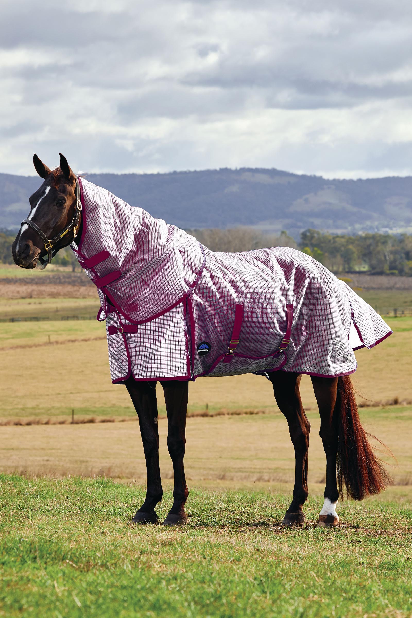 Weatherbeeta ComFiTec Ripshield Vliegendeken met afneembare hals, 0 g  