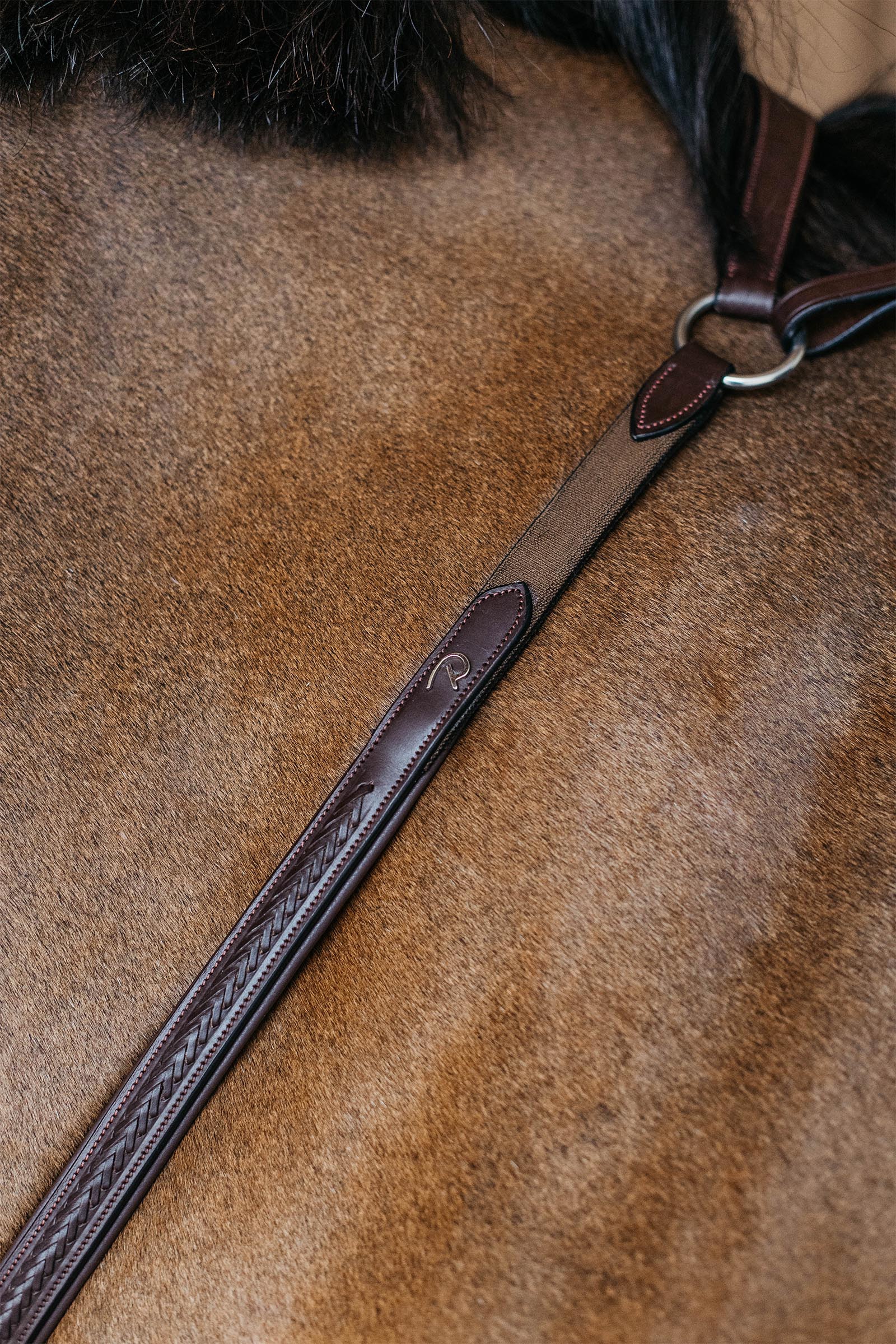 Dy'on New English gevlochten borsttuig met brug