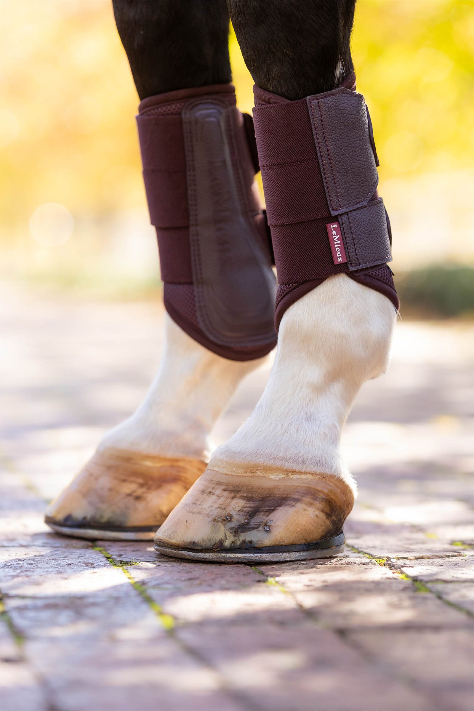 LeMieux Arika Mesh peesbeschermers