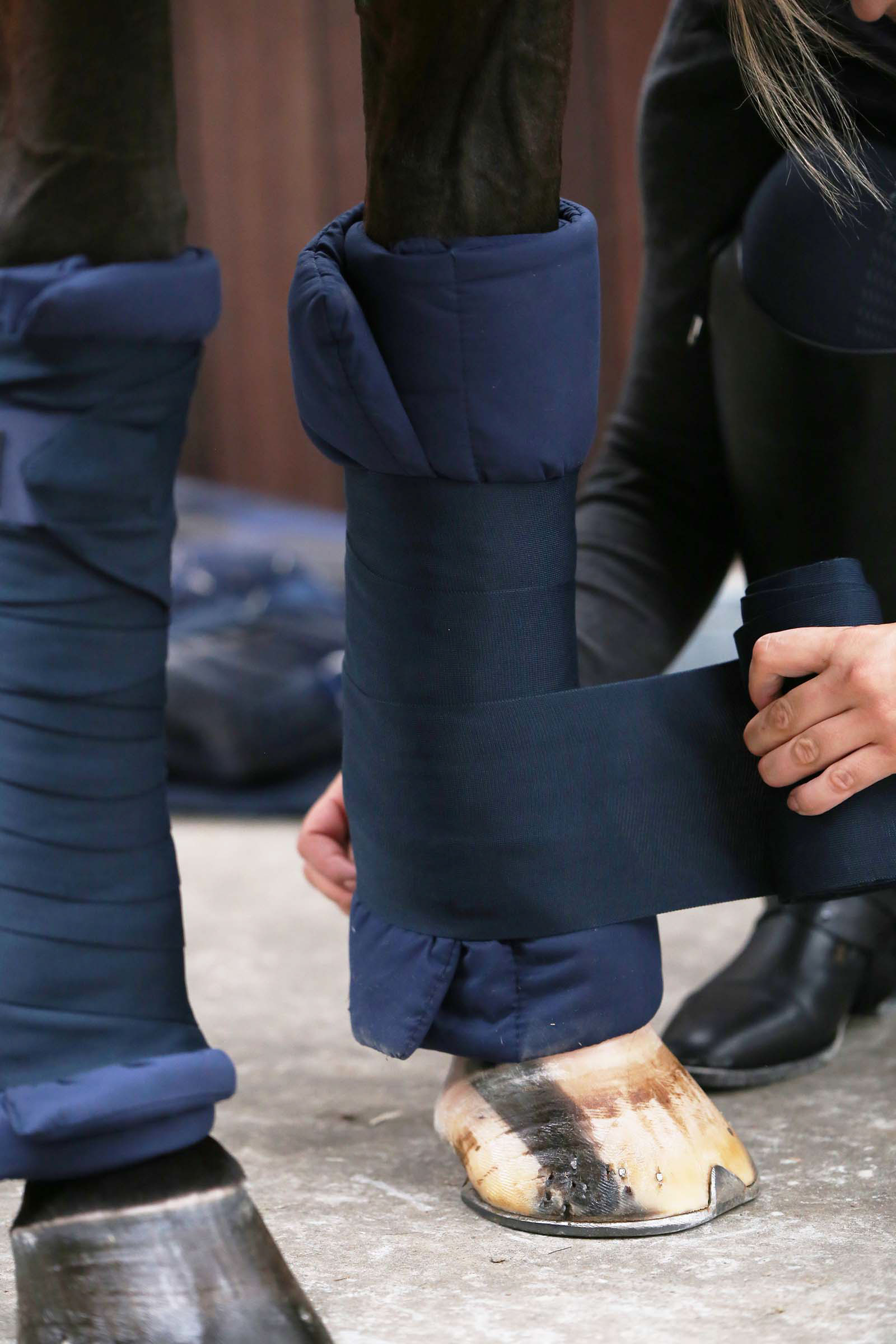 Kentucky Horsewear Gewatteerde Bandage Onderlegger, set van 4