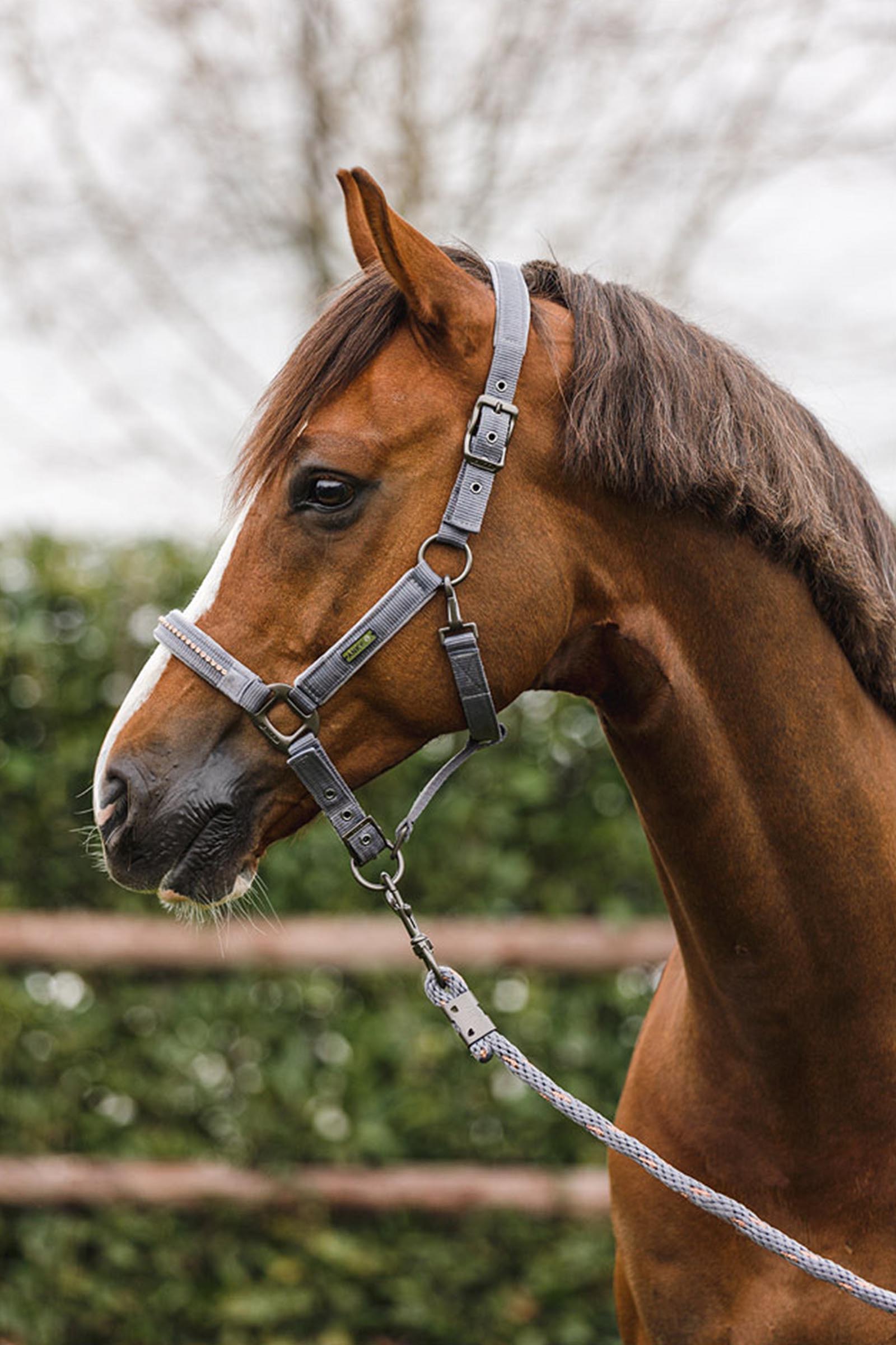 ANKY Stones Halster en Touw Set