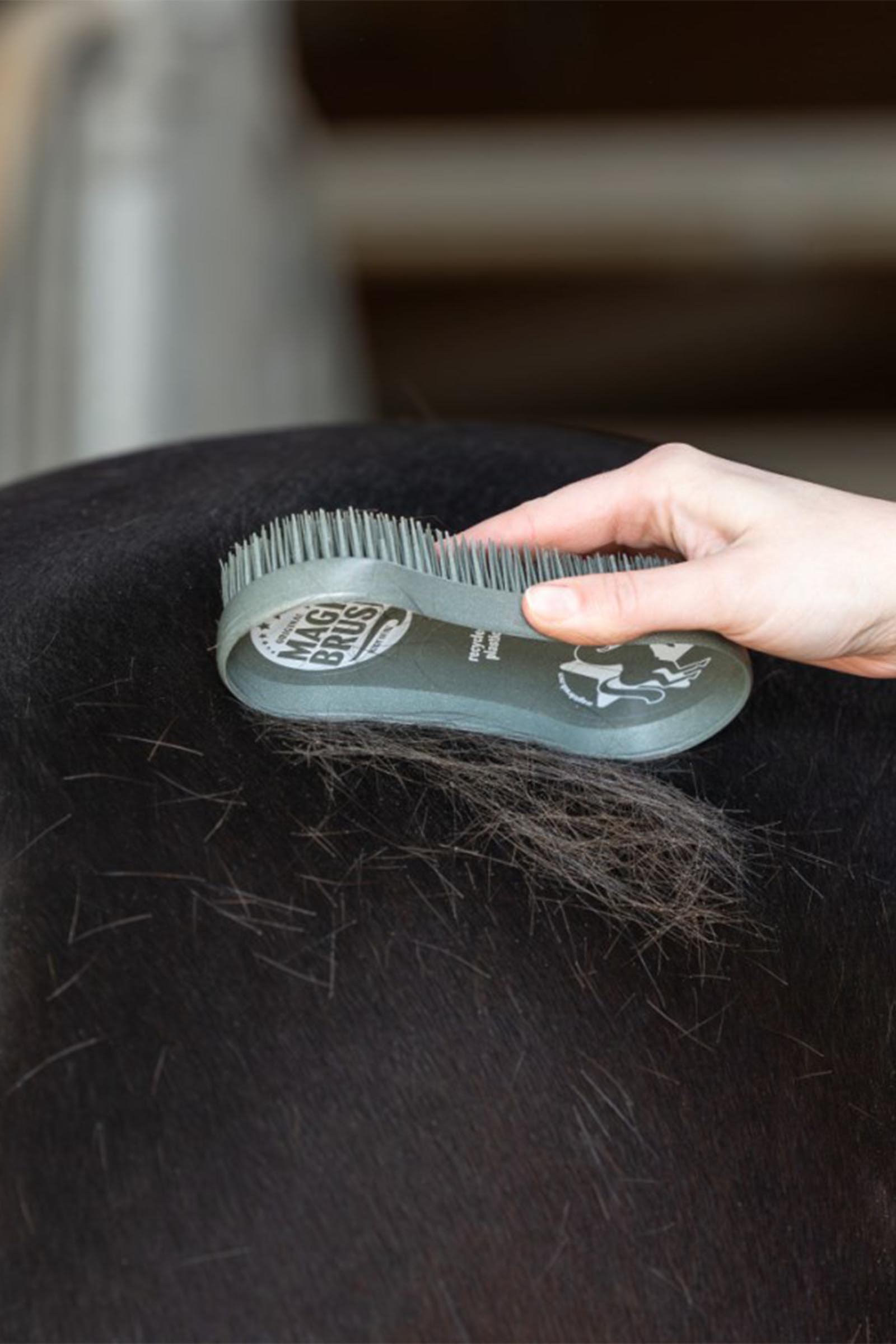 MagicBrush CornFlowers Brush Set