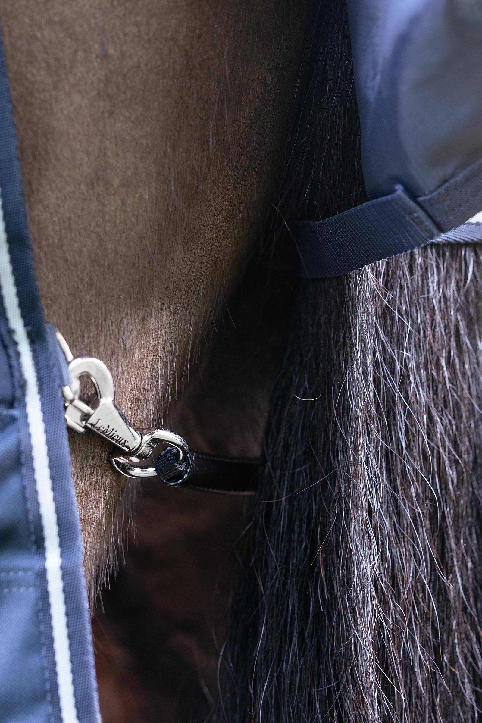 LeMieux Arika Storm-Tek regendeken, 350 g