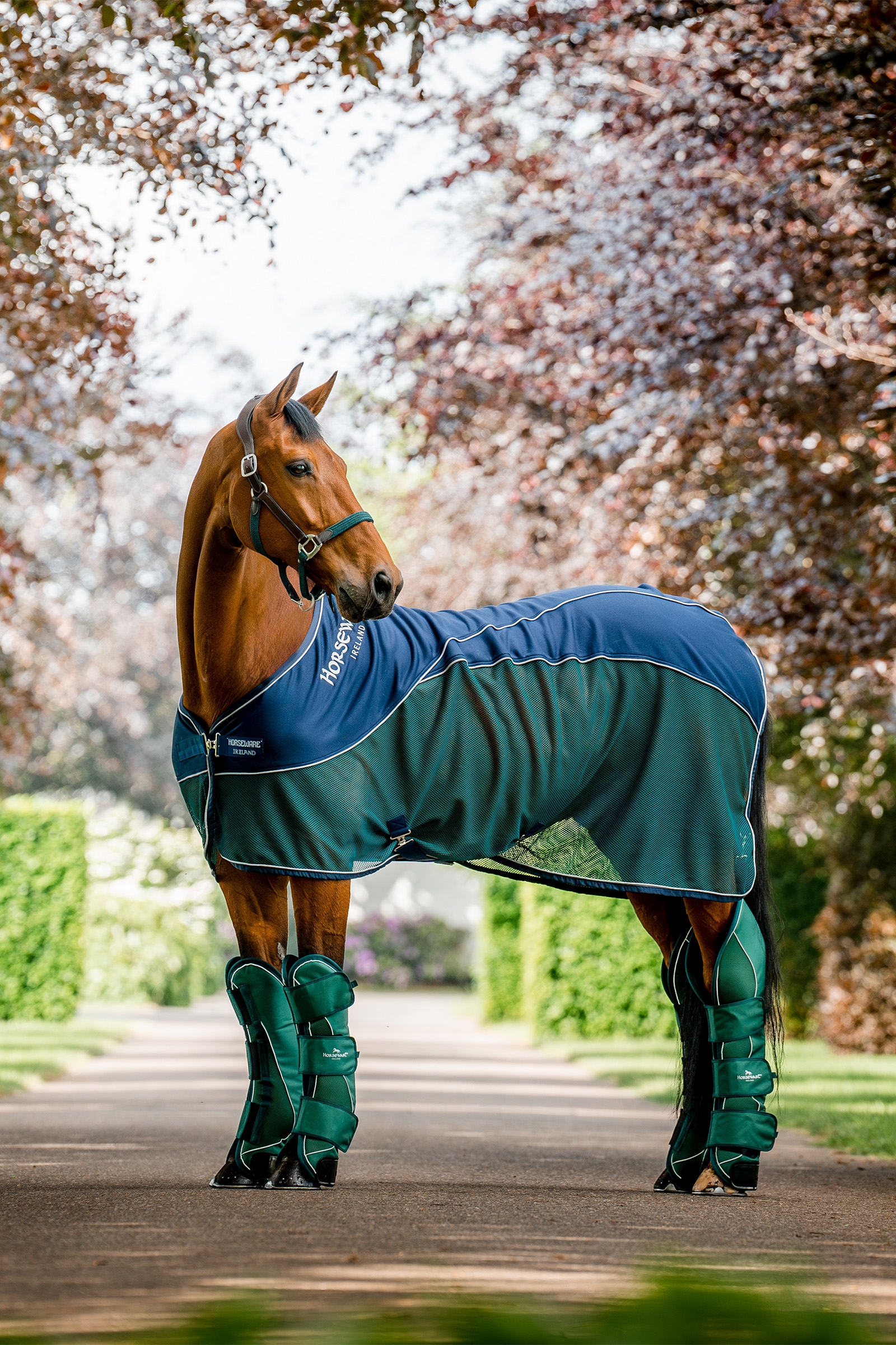 Horseware Signature Transport Peesbeschermers