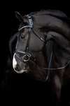 Catago Shay Round Stitched Bridle With Flash