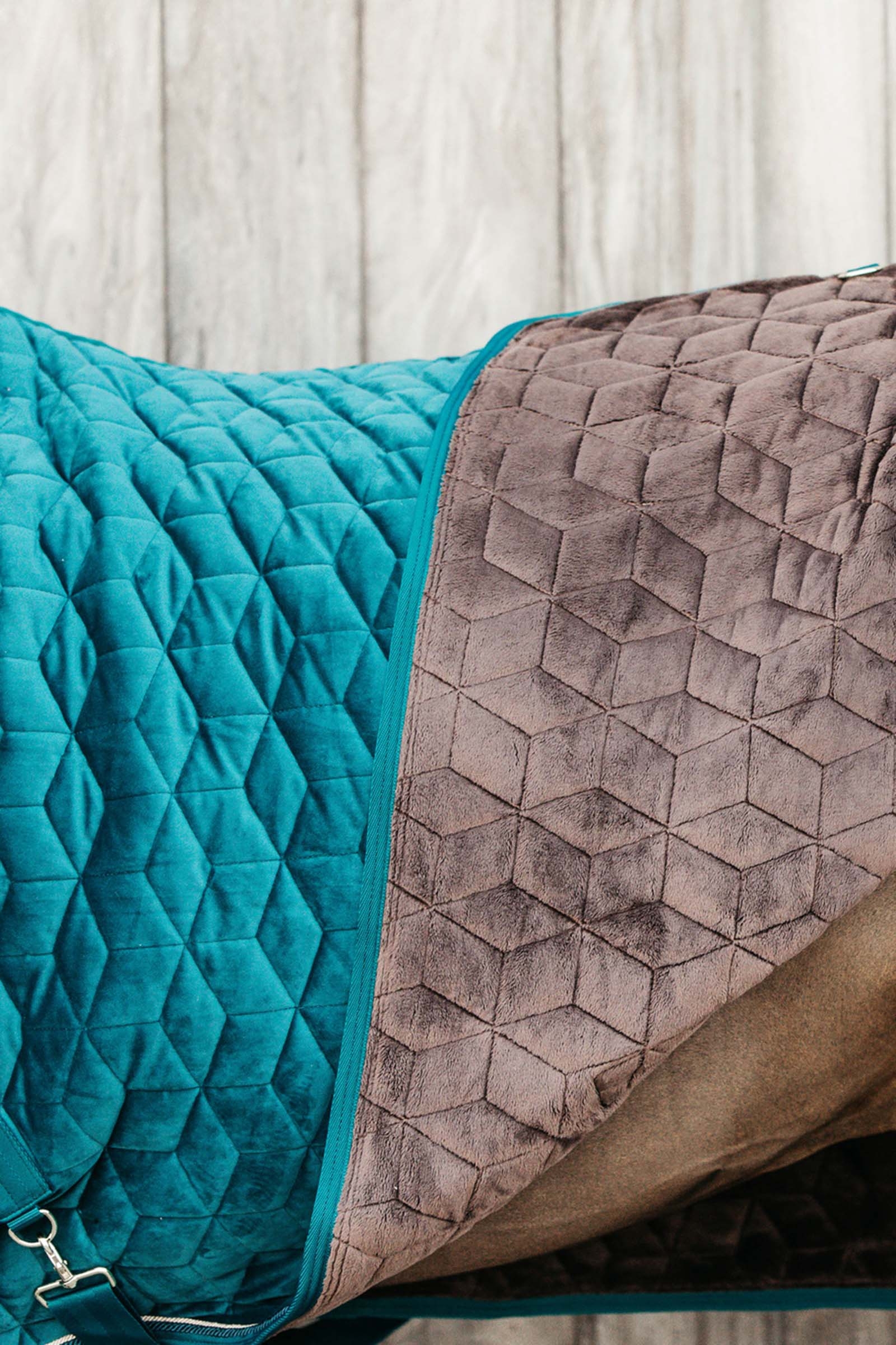 Kentucky Horsewear Showdeken Velvet, 160g