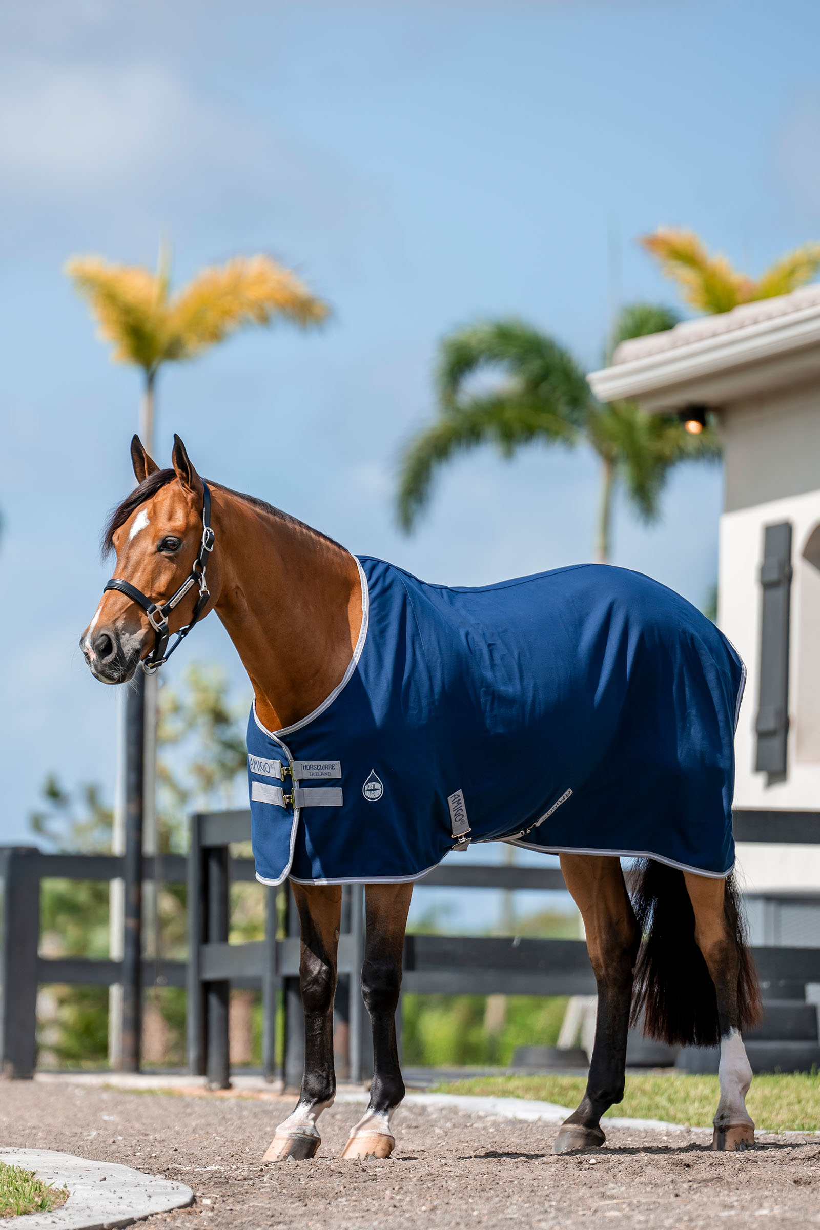 Horseware Amigo Staldeken, 0g