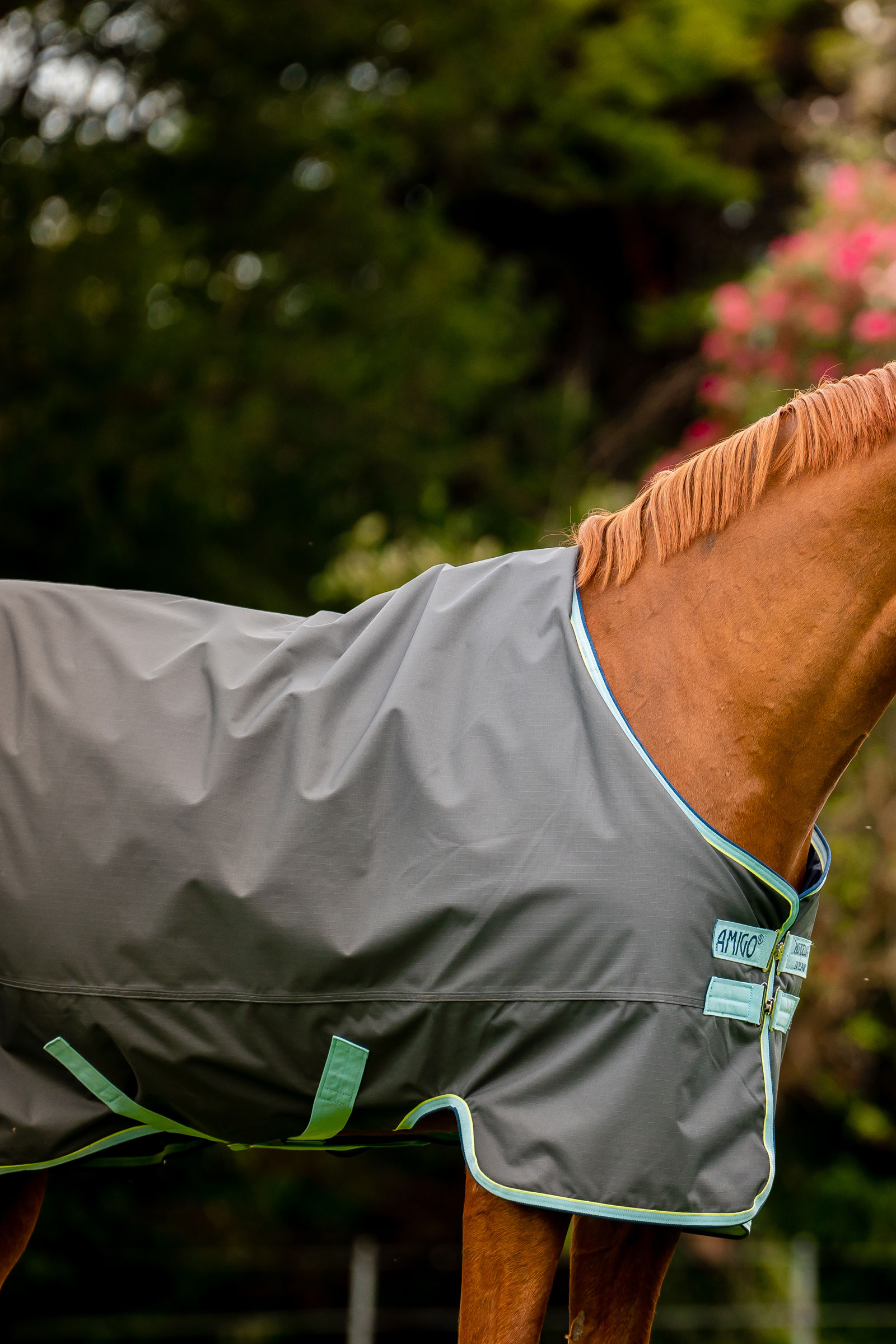 Horseware Amigo Hero Ripstop Plus outdoordeken met afneembare hals, 200g