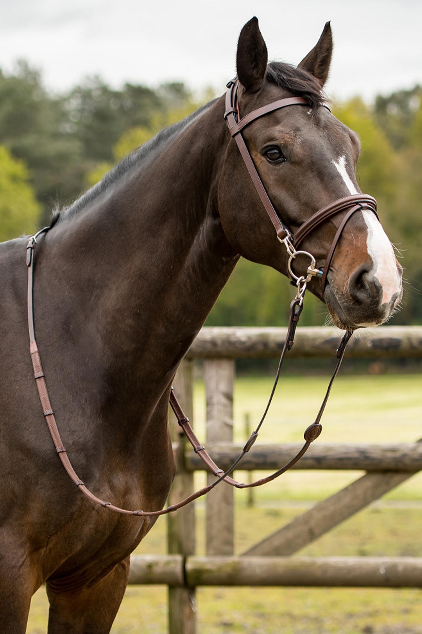 Trust Equestrian Hamburg Training Bridle W Padding & Rubber Reins