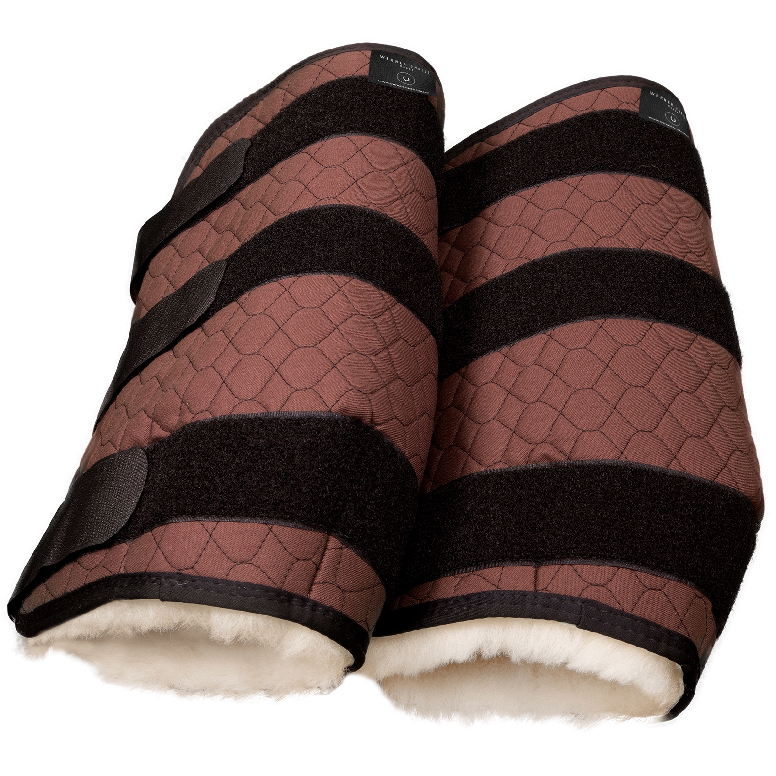 Christ Beenbeschermers, achterbeen