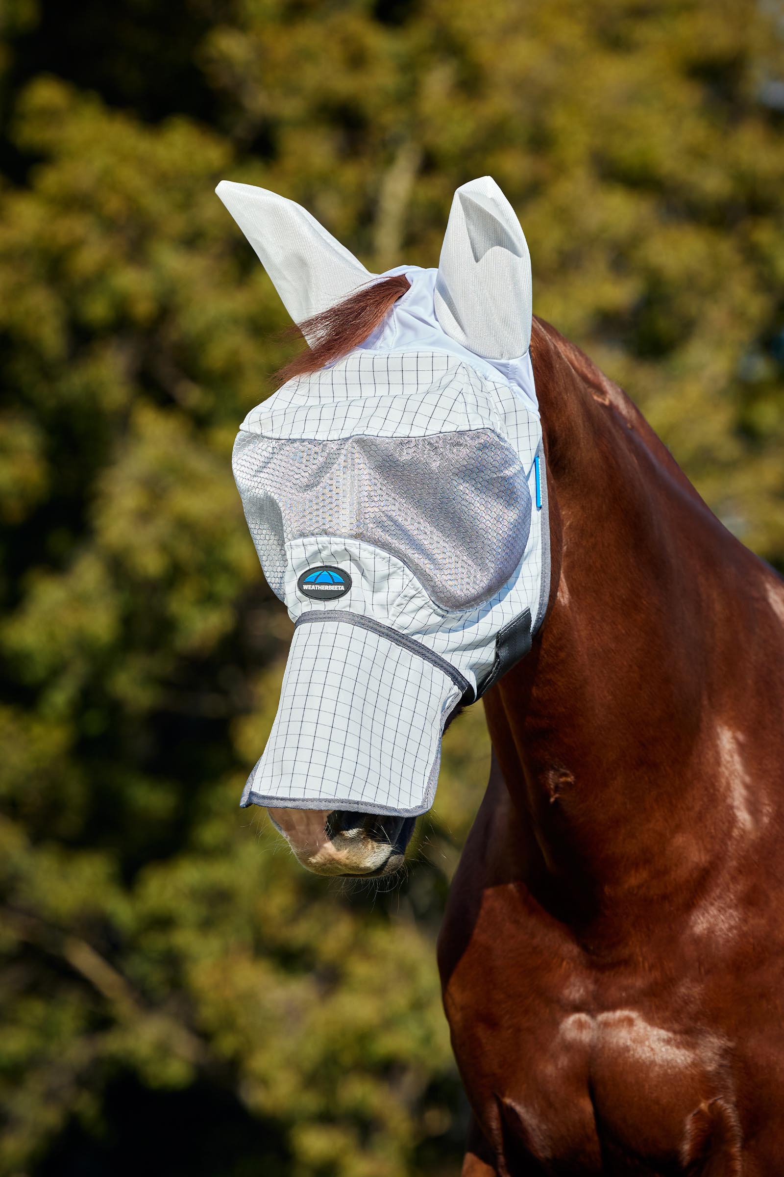 Weatherbeeta Hybrid Vliegenmasker  