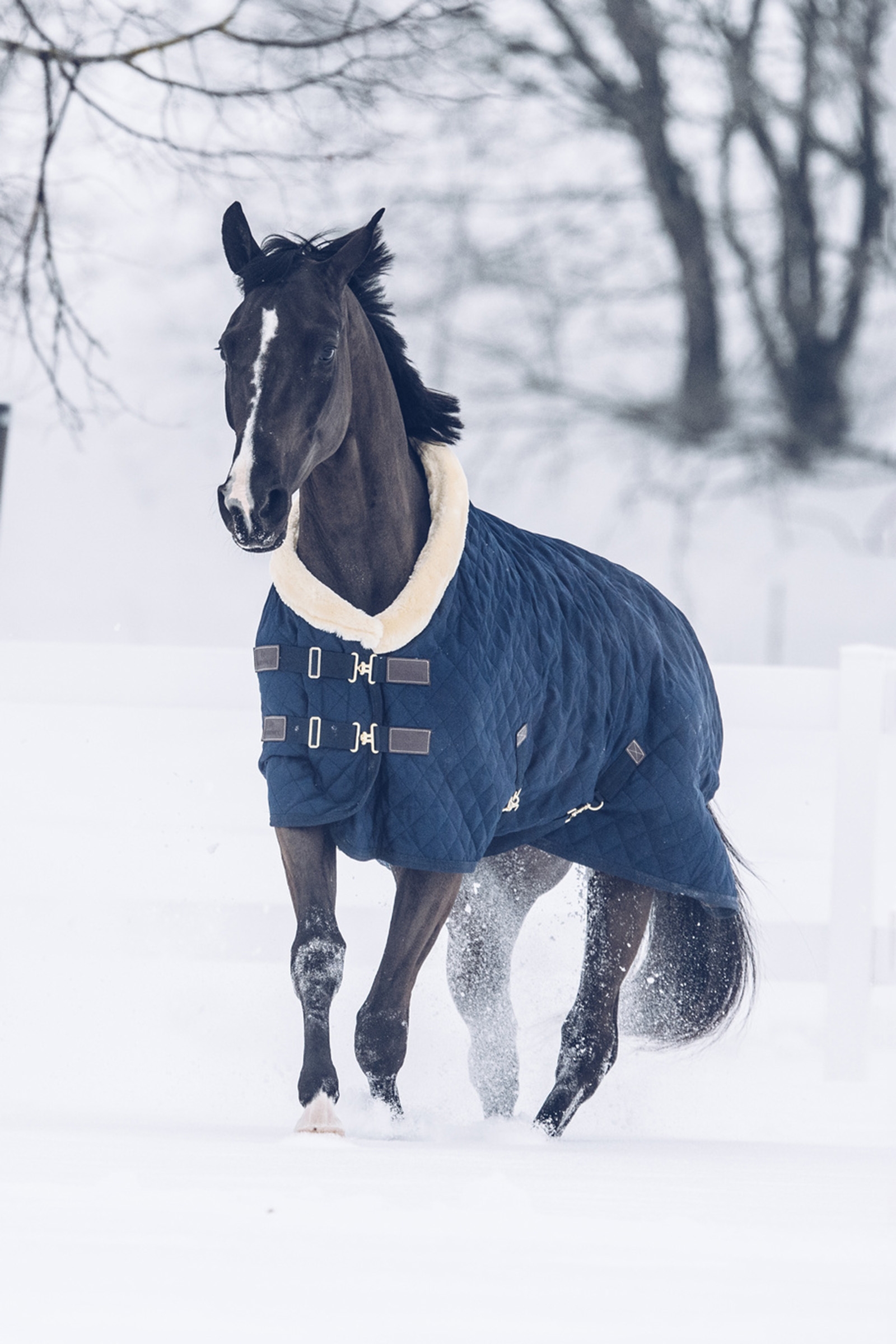 Kentucky Horsewear Showdeken, 160 gram