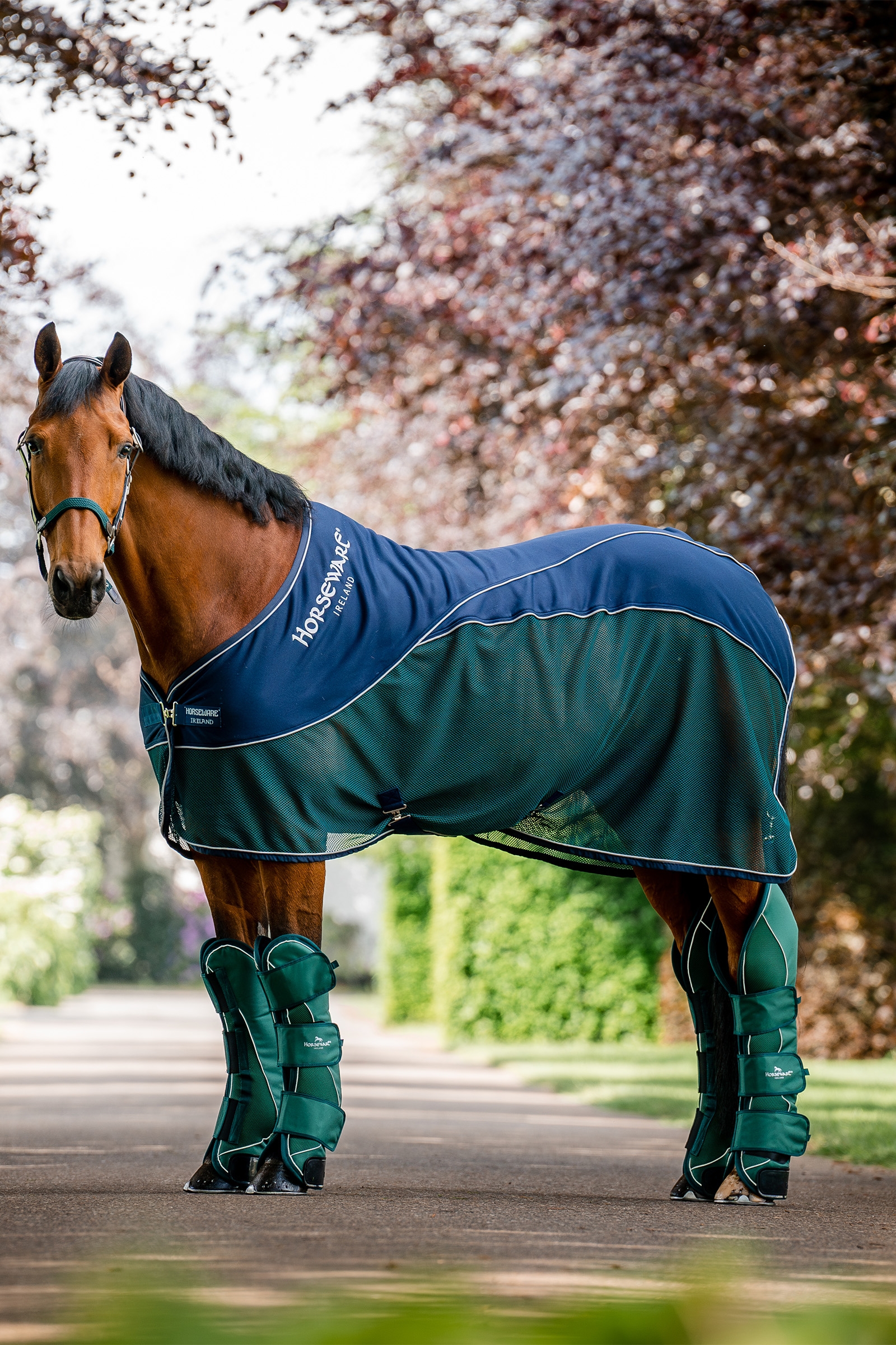 Horseware Signature Sport Zweetdeken