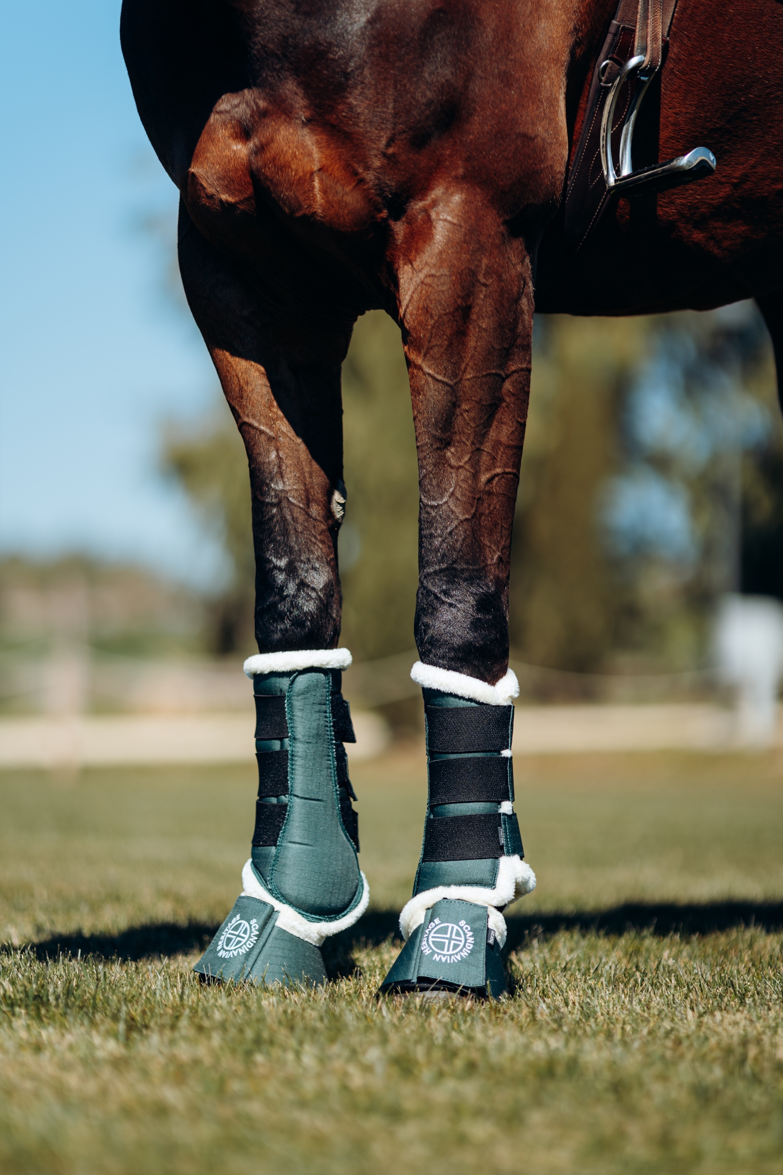 Horze Oslo Imitatiebont Springschoenen