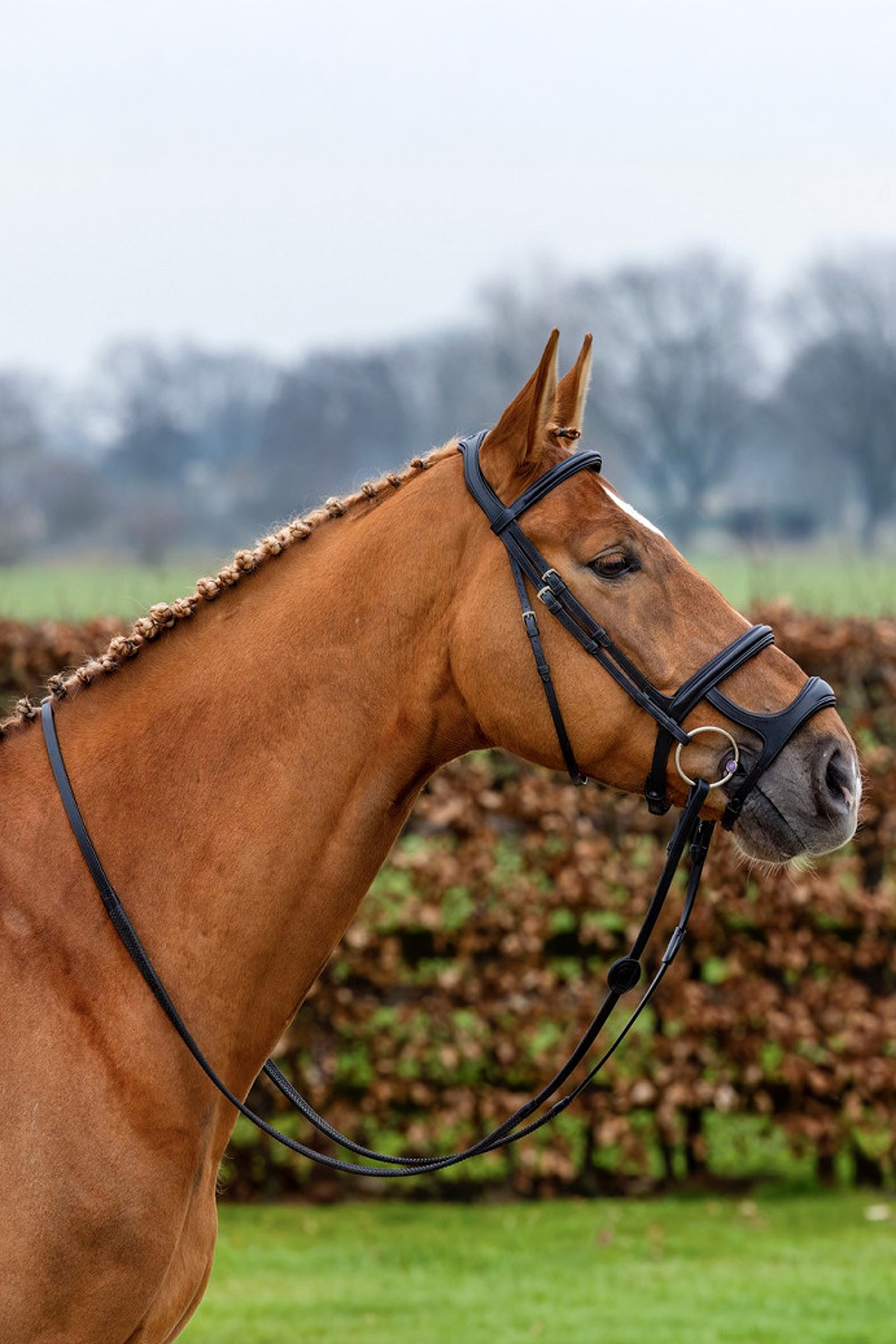 Trust Equestrian Paris Double Noseband Bridle