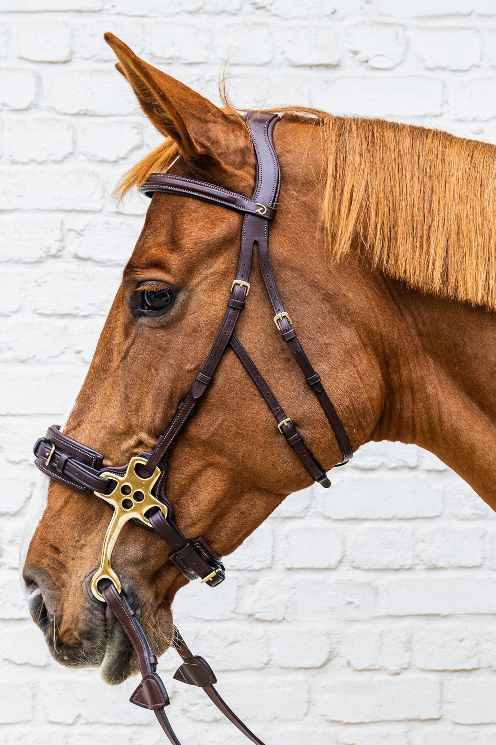 Dy'on D-Collection hackamore hoofdstel  