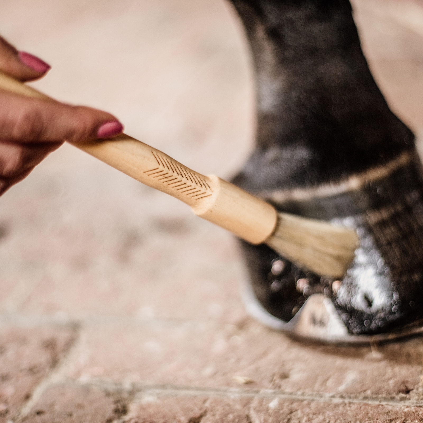 Grooming Deluxe Hoefkwast