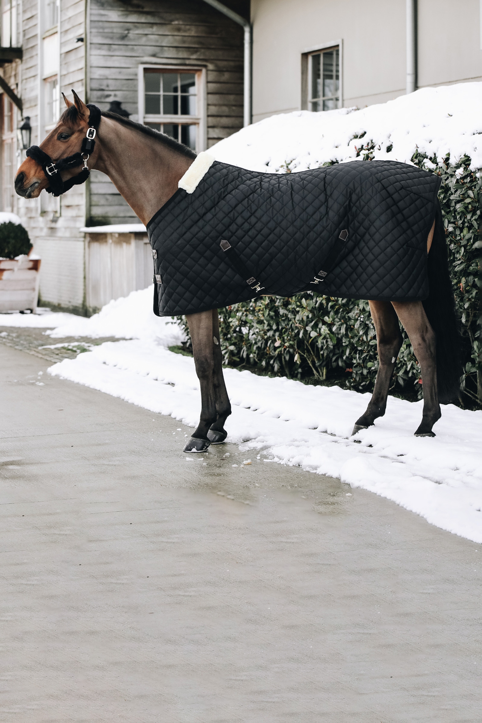 Kentucky Horsewear Staldeken 400g