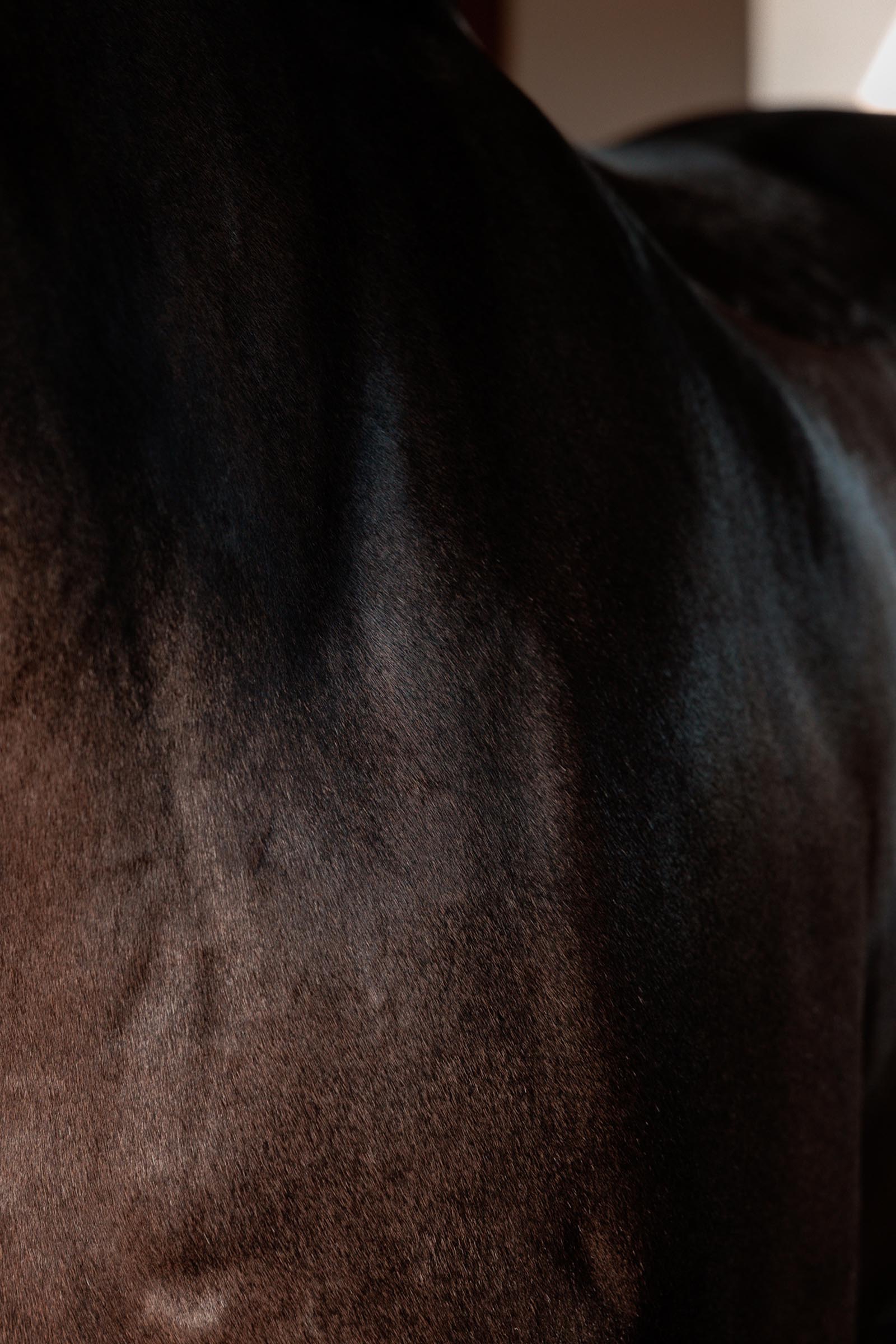 Grooming Deluxe Super Shine amandel glansgel, 250 ml